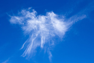 Blue sky with white jellyfish clouds