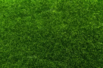 Obraz premium Top view green grass background