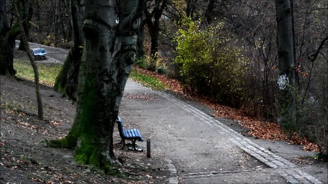 Wintry evening impressions from the City Park (Fennsee) in Berlin Wilmersdorf from December 4, 2015, Germany 