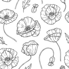 Poppy seamless pattern. Poppies flower sketch drawing wall artwork plant poppy flower bud planting floral nature vector fabric texture. Illustration of seamless pattern blossom floral poppy