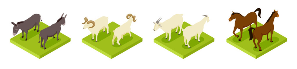 Isometric hoofed cattle. Dunkey, horse, ram and goat 3d vector collection. Illustration of cattle animals, horse and donkey