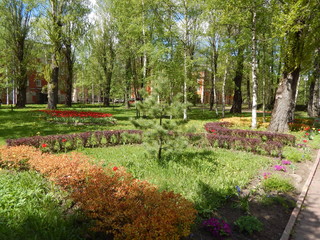 Obraz premium Fragment pięknego letniego parku z drzewami iglastymi, trawnikami i kwiatami