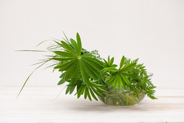 Field grass with lupine leaves in a bowl of water on a white background