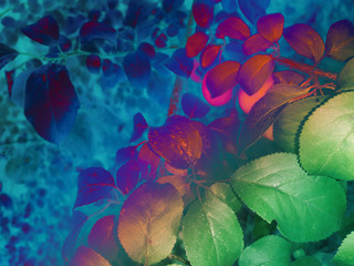 foliage © neurostructure