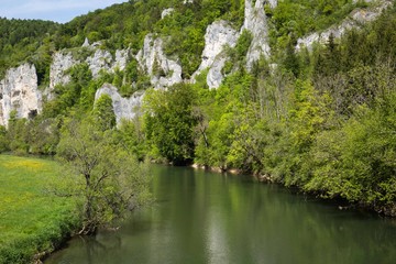 Fototapeta premium Obere Donau bei Rabenfelsen, Thiergarten bei Sigmaringen