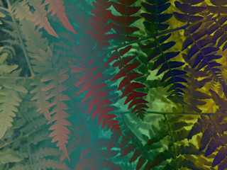 foliage © neurostructure