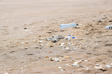 waste materials on beach side empty bottle plastic 