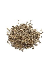 Cardus marianus - milk thistle seeds (Silybum marianum)