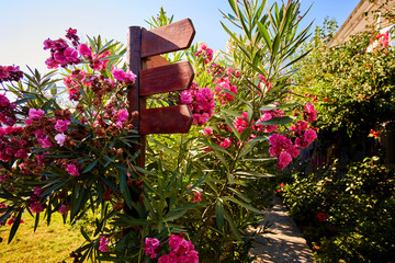 Obraz na płótnie Canvas wooden arrow signpost in a garden with colorful flowers