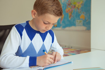 Intelligent boy makes homework in his room