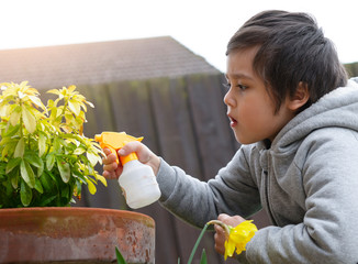 Active kid using spray bottle watering flowers in the garden, Child spraying water on daffodils flowers, Cute boy having fun with gardening, Children gardening concept