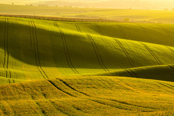 Arable fields prepared for sowing the grain. green background. Moravian fields - obrazy, fototapety, plakaty
