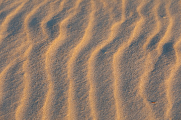 Waves created by the wind on a sandy beach