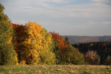 Fototapeta premium Schwäbische Alb