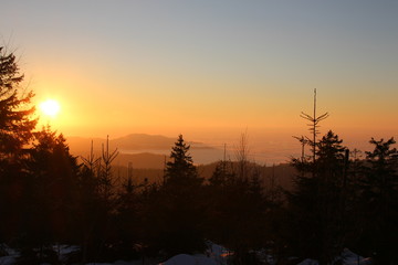 Winter im Schwarzwald