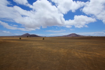 Fototapeta na wymiar Desert on the island of Sal