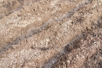 Furrows from the ground in the beds for planting