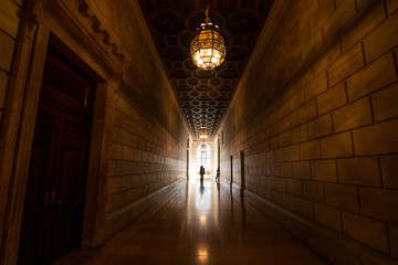 Fototapeta premium People walking in library hallway with window and contrast