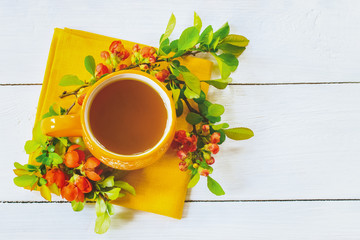 spring gentle background with a cup of green tea and branches of orange flowers top view. copy...
