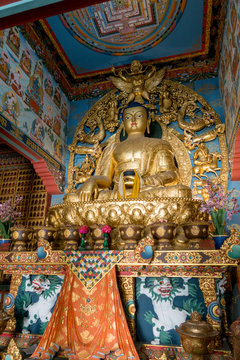Buddha statue in temple of Lumbini with traditional buddhist paintings, Nepal