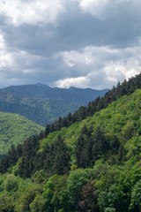 View with mountains forested - Postavarul Massif -  Brasov, Transylvania, Romania
