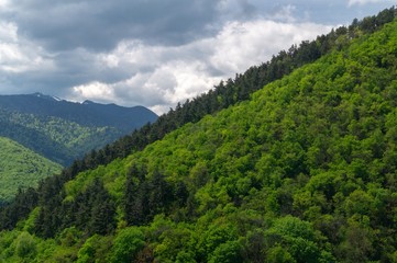 Fototapeta na wymiar View with mountains forested - Postavarul Massif - Brasov, Transylvania, Romania
