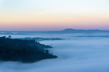 Fototapeta na wymiar Mist. Cool atmosphere in the morning in the valley