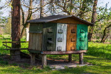 Old beehive in the garden