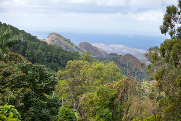 Fototapeta na wymiar Cuba. Hills covered with tropical vegetation..