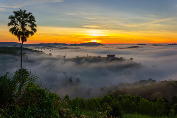 Fototapeta na wymiar Beautiful Sunrise and the mist at Khao Kho, Phetchabun Province, Thailand.