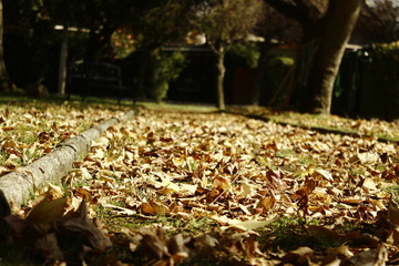 Otoño 