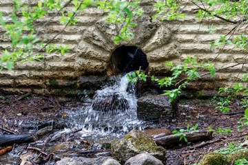 waterfall in the forest