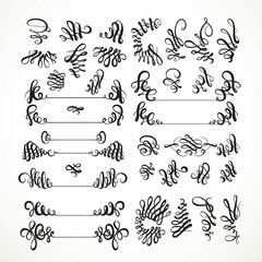 Calligraphic vintage elements very big set isolated on a white background