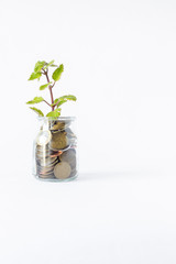 Money, concept of financial growth, business, man's hand puts money coins to pile of coins with white background - Image