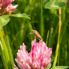 I am almost there...