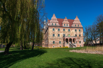Fototapeta na wymiar Castle in Polska Cerekiew, Poland