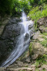 waterfall in forest