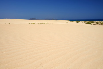 Sand Dunes and beach in National Park Corralejo, Fuerteventura.