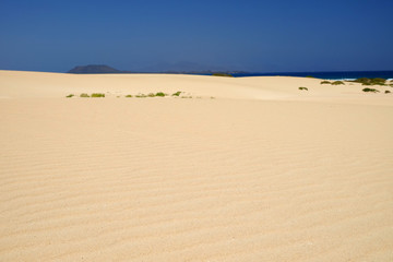 Sand Dunes and beach in National Park Corralejo, Fuerteventura.