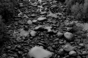 PISCINAS NATURALES ALARDOS