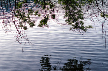 PANTANO ARENAS DE SAN PEDRO DETALLES PASEO