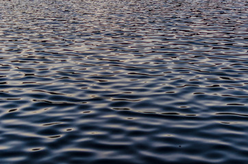 PANTANO ARENAS DE SAN PEDRO DETALLES PASEO