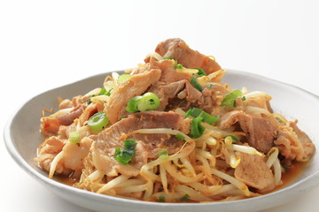 豚肉ともやしの炒め物