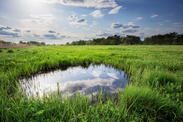 Reflection of clouds and blue sky in small lake among green grass