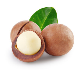 Whole and open australian macadamia nut with green leaf