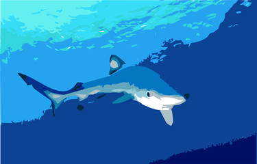 JAWS_PRINT_RONNIE_00004