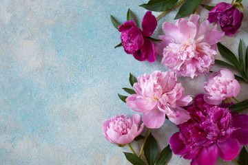 Fototapeta na wymiar Peonies on a colored background for congratulations