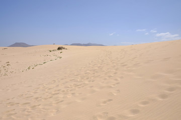Sand Dunes in National Park Corralejo, Fuerteventura.