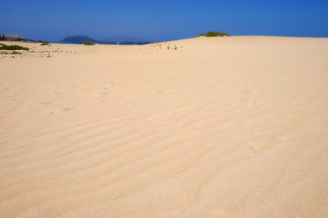 Sand Dunes and beach in National Park Corralejo, Fuerteventura.