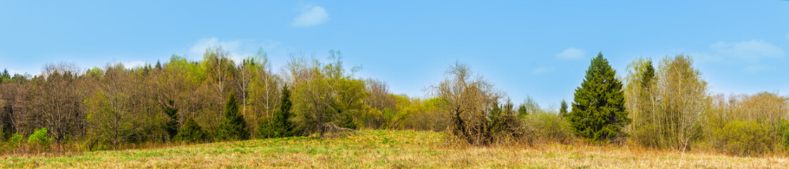Spring views of Belarus